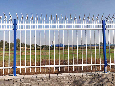 ����п�ֻ���ͼƬ1