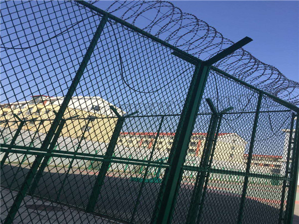 ɽ����������������