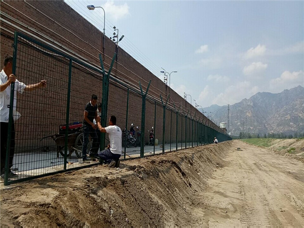 ɽ����������������ͼƬ4