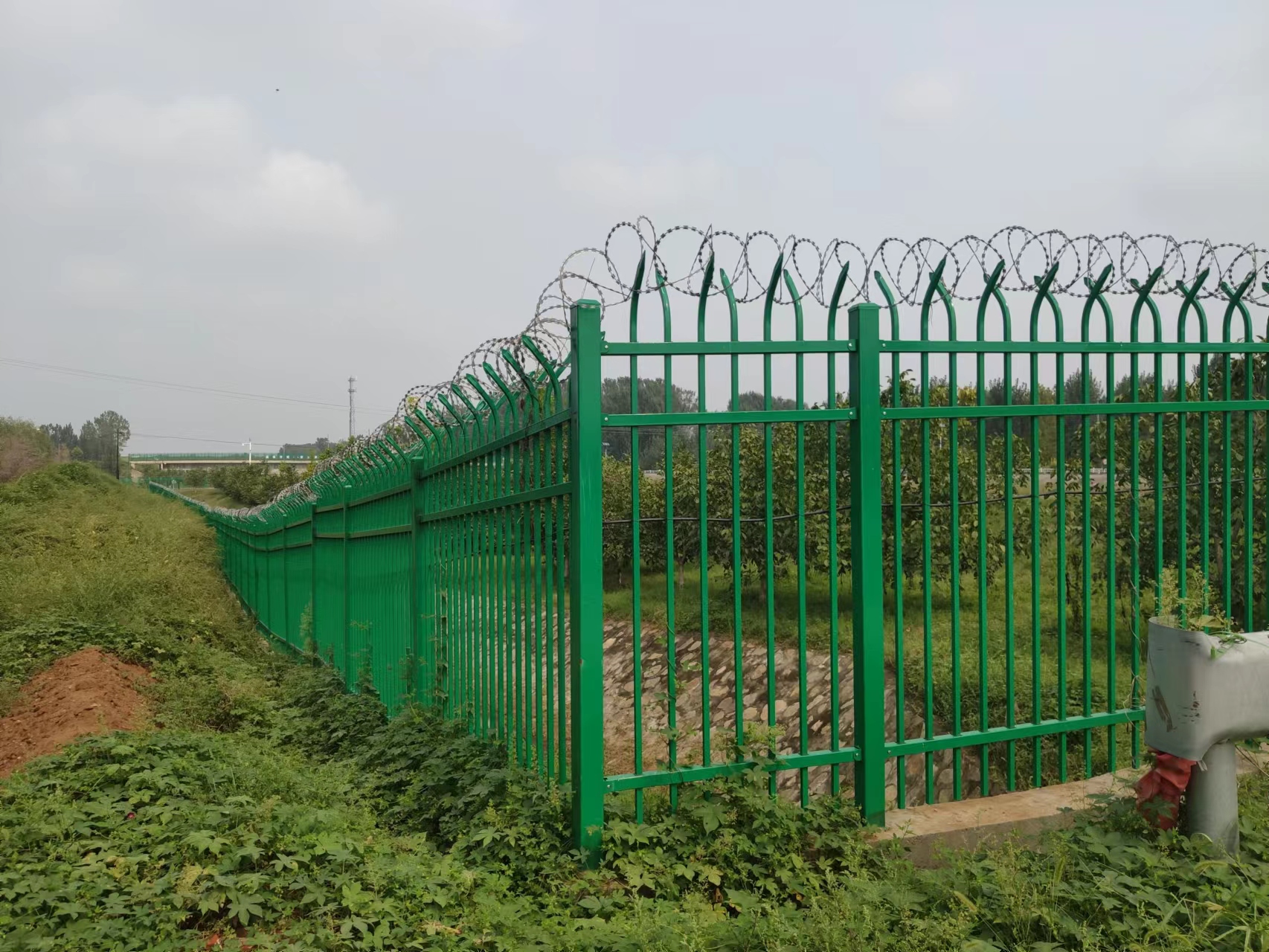 ����������ͼƬ6